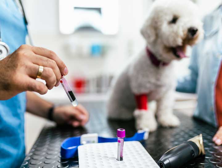 Diagnostics