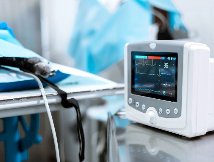 Surgical Procedures
