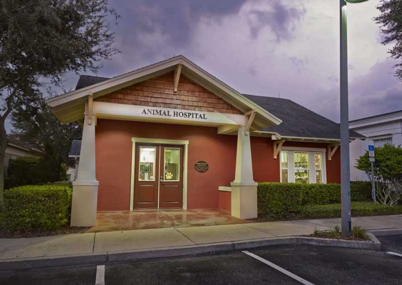 Carousel Slide 1: Learn more about us!