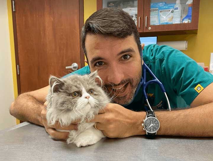 Preventive Care for Cats